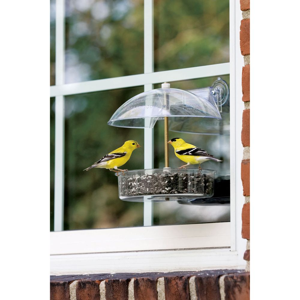 Droll Yankee Winner Window Bird Feeder