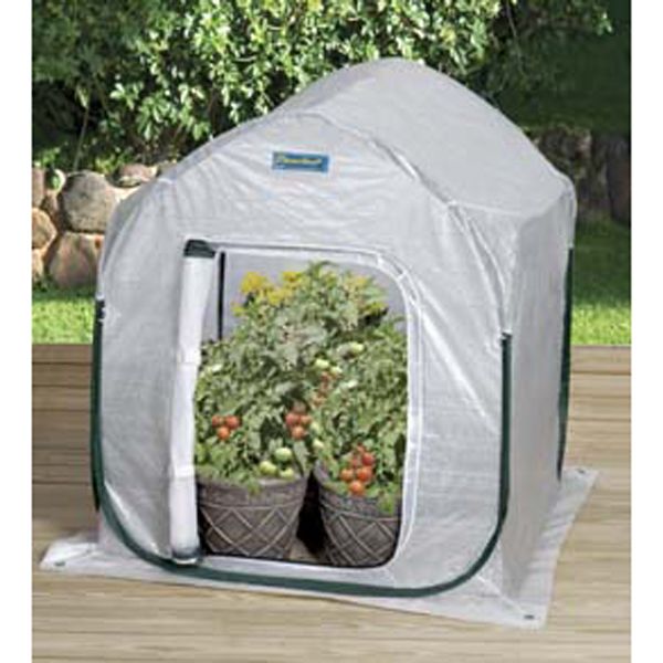 FlowerHouse PlantHouse 3' at Kmart.com