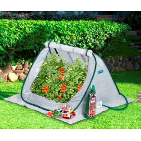 FlowerHouse SeedHouse at Kmart.com