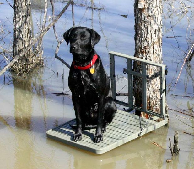 Great Day Big Dog Retreiver Seat at Kmart.com