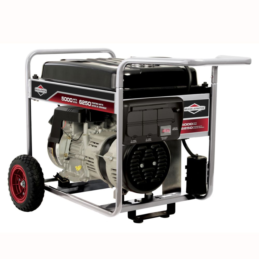 Briggs & Stratton&nbsp; 5000 Watt Portable Generator - California Model