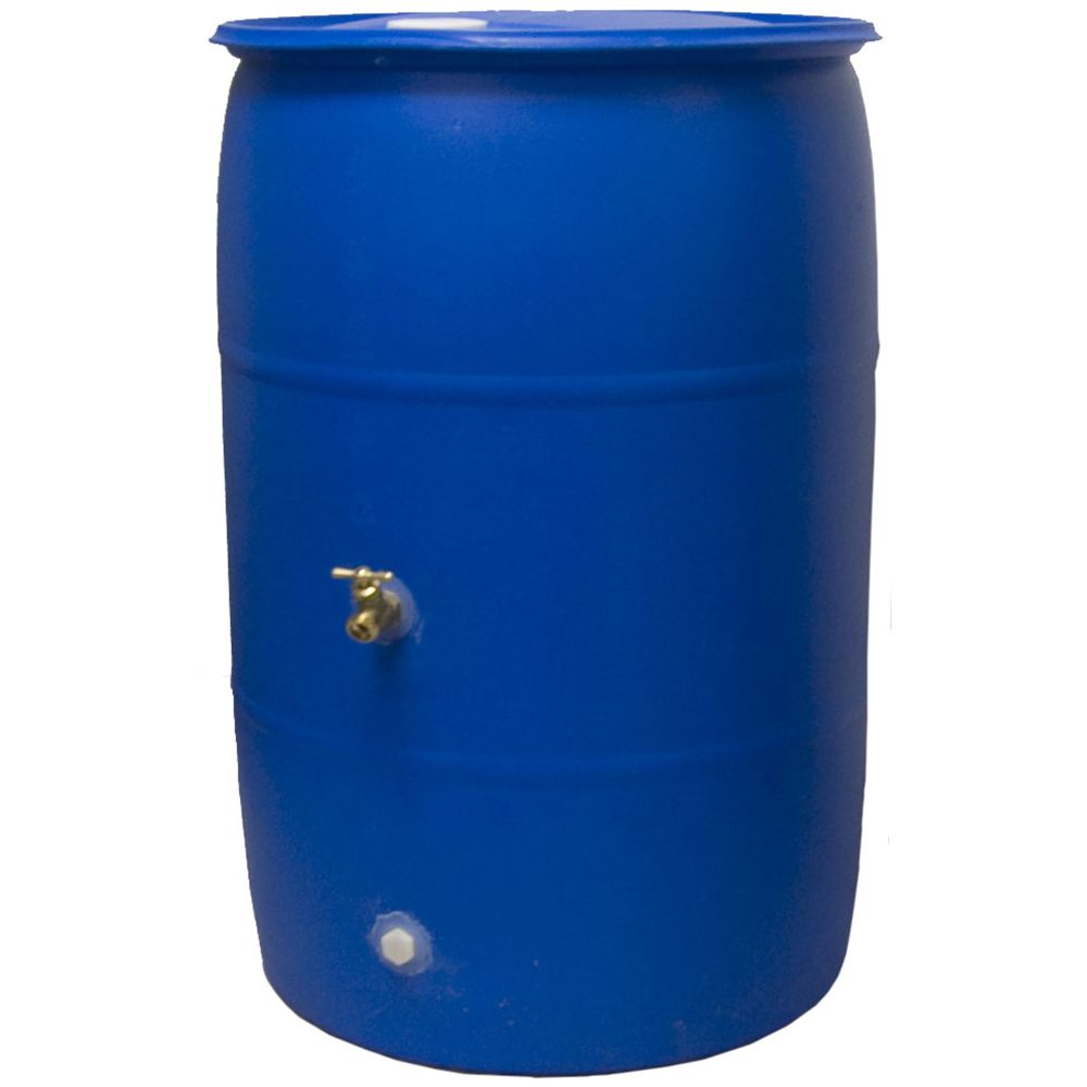 Big Blue 55