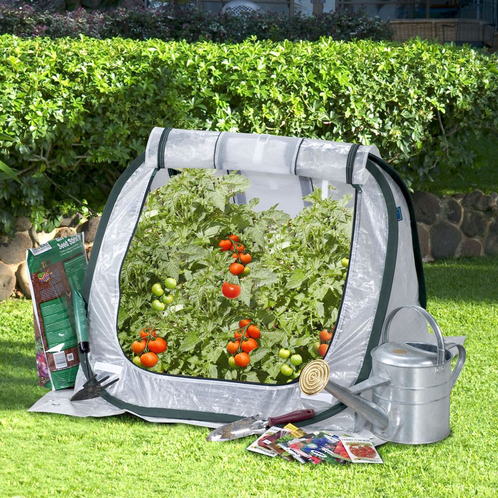 FlowerHouse SeedHouse Jr. at Kmart.com