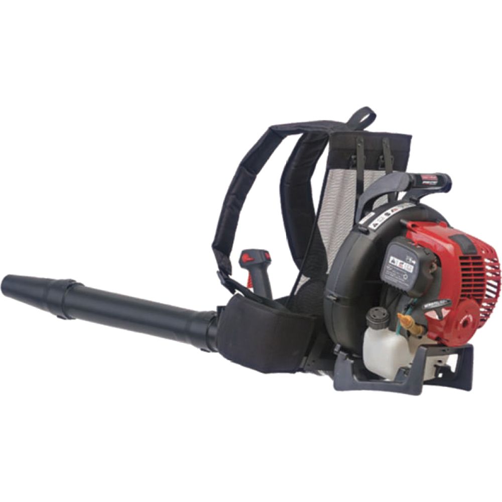 Craftsman&nbsp; 32 cc 4-Cycle Backpack Blower