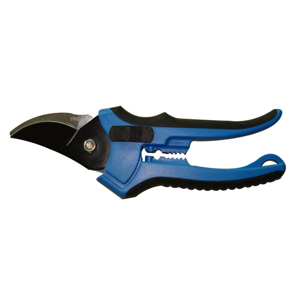 Companion Bypass Pruner