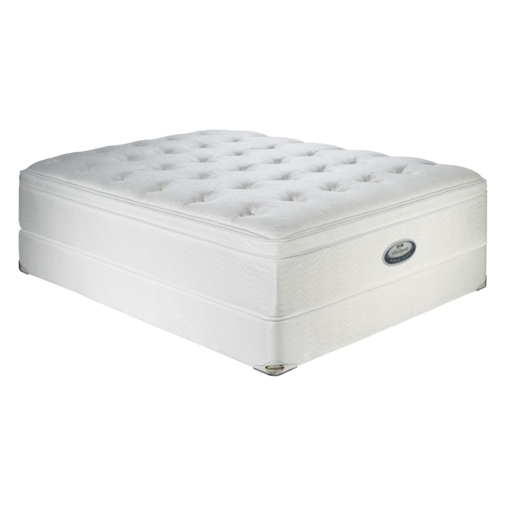 Reviews Beauty Rest Mattress Adjustable  on Beautyrest Wc Burney Falls Ii Visco Pillowtop Plush Queen Mattress