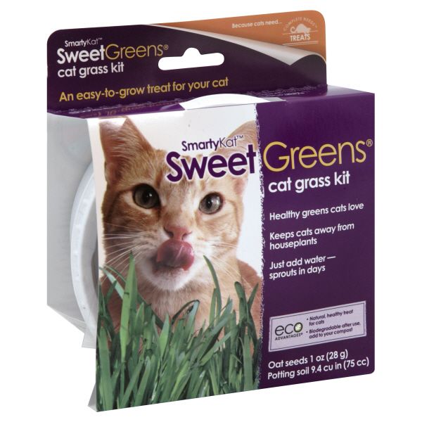 SmartyKat Smarty Kat Sweet Greens Cat Grass Kit, 1 kit at Kmart.com