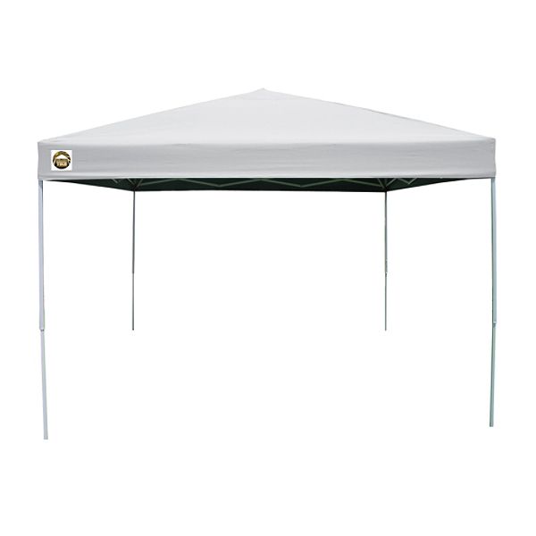 10x10 Canopy 142065
