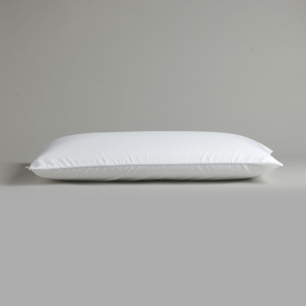 Sleep Innovations Memory Foam, Queen Molded Pillow at Sears.com