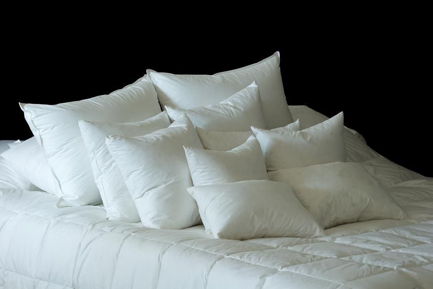 DownTown Pillow Insert Queen 20"x30"