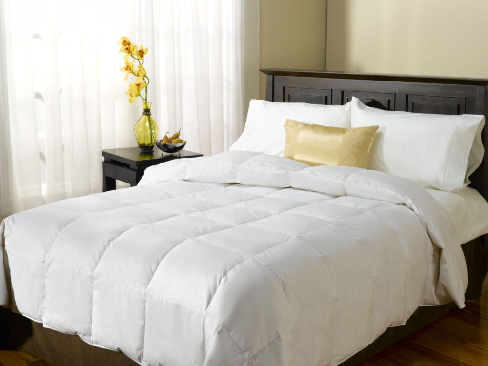 Serta Level 1 Down Comforter at Sears.com