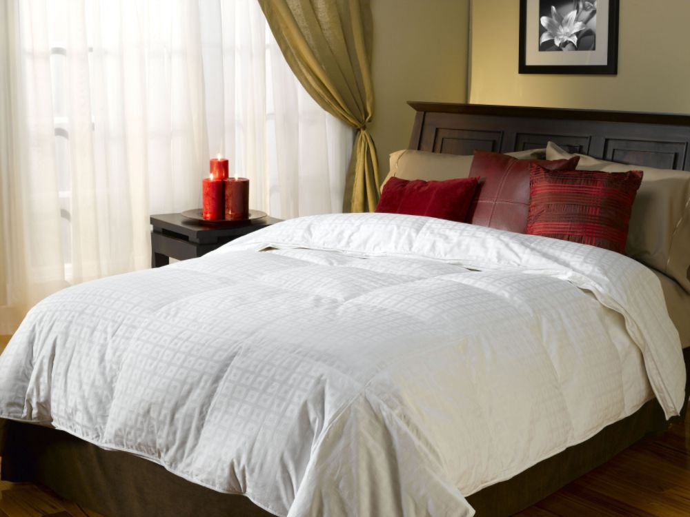 Serta Level 3 White Down Comforter at Sears.com