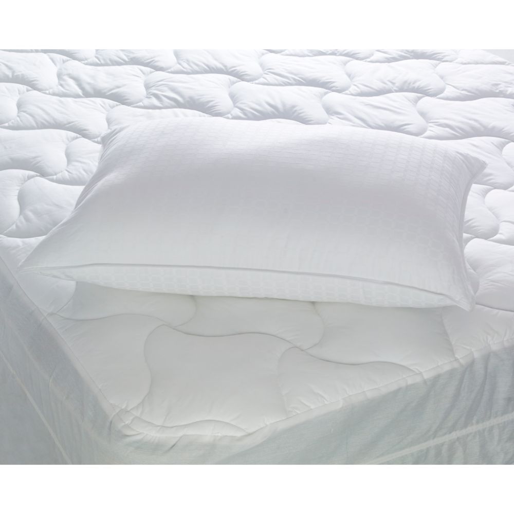 Dream Solutions Wont Go Flat Pillow at Sears.com
