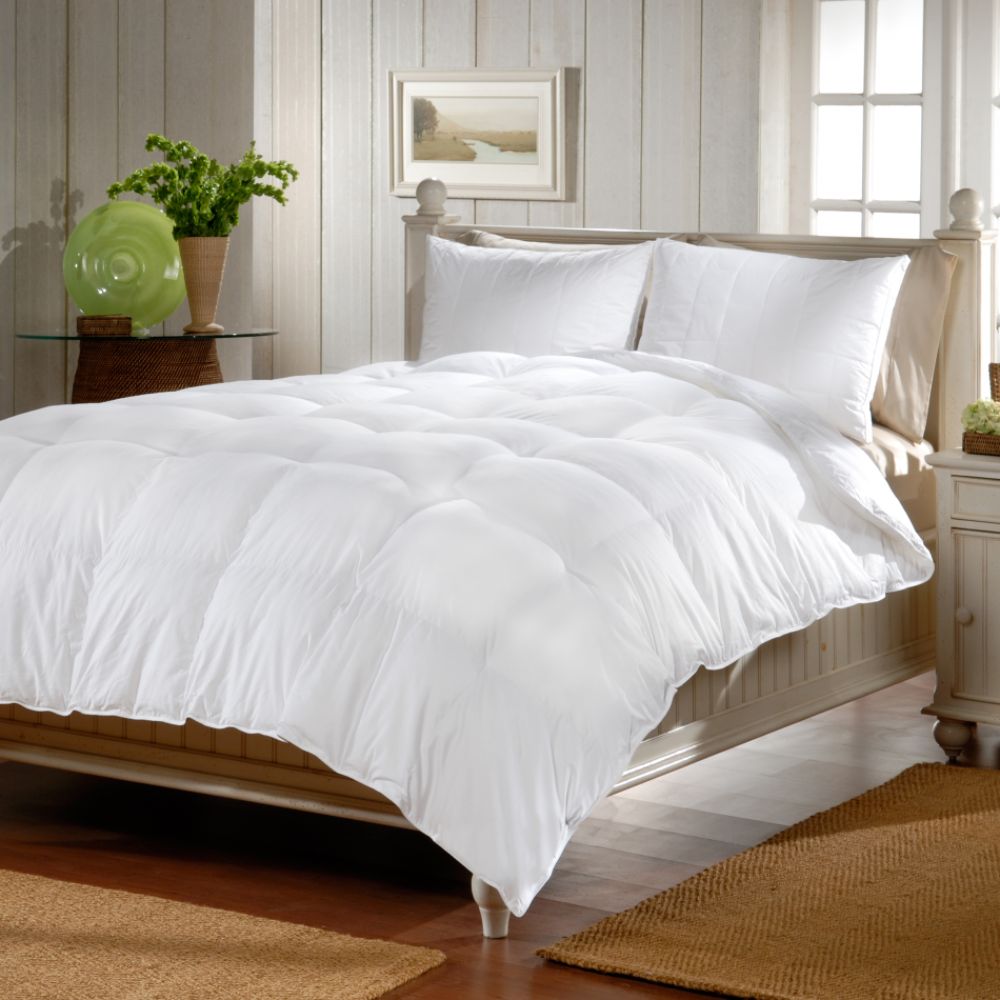 Cannon Microfiber Down Alternative Comforter at Sears.com