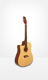 Guitars