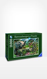 Jigsaw Puzzles