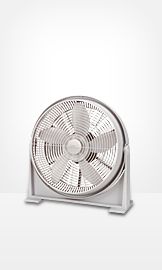 Fans
