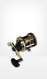 Reels