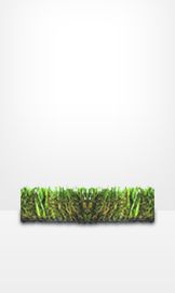 Artificial Turf