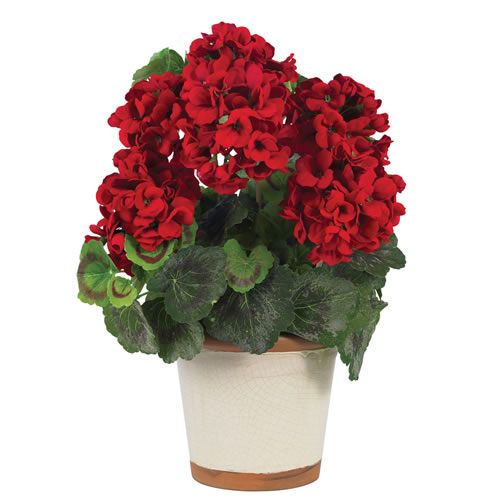 Nearly Natural Geranium Silk Plant