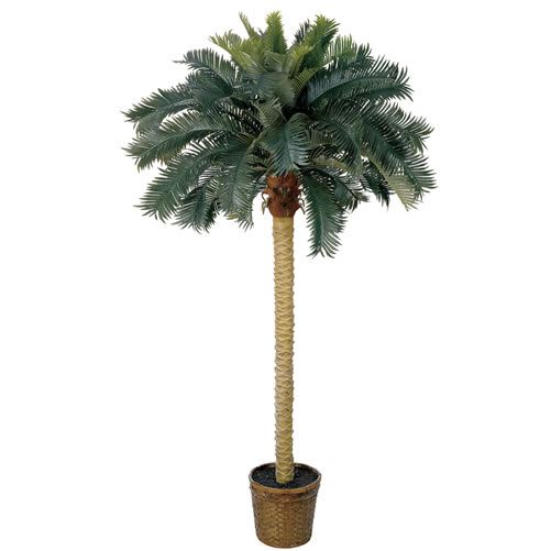 6 ft Sago Palm Silk Tree
