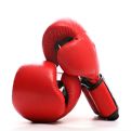 Boxing & Mixed Martial Arts at mygofer.com