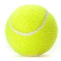 Racquet Sports at mygofer.com