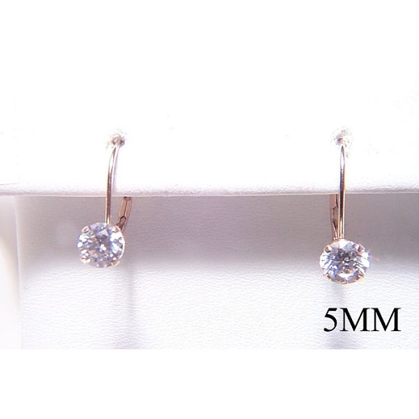10kt Cubic Zirconia Round Leverback Earring