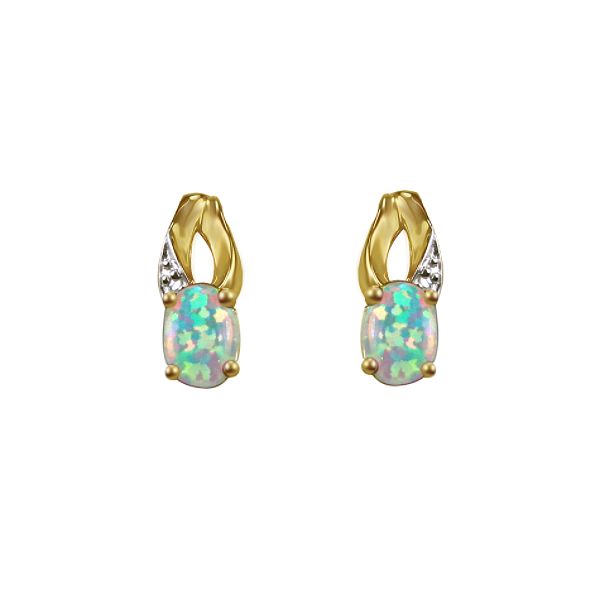 Incredible Buy! 10kt Birthstone Earring
