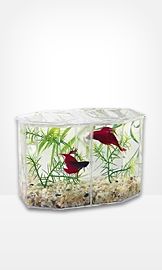 Fish & Aquatic Supplies