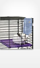 Dishes, Feeders & Waterers