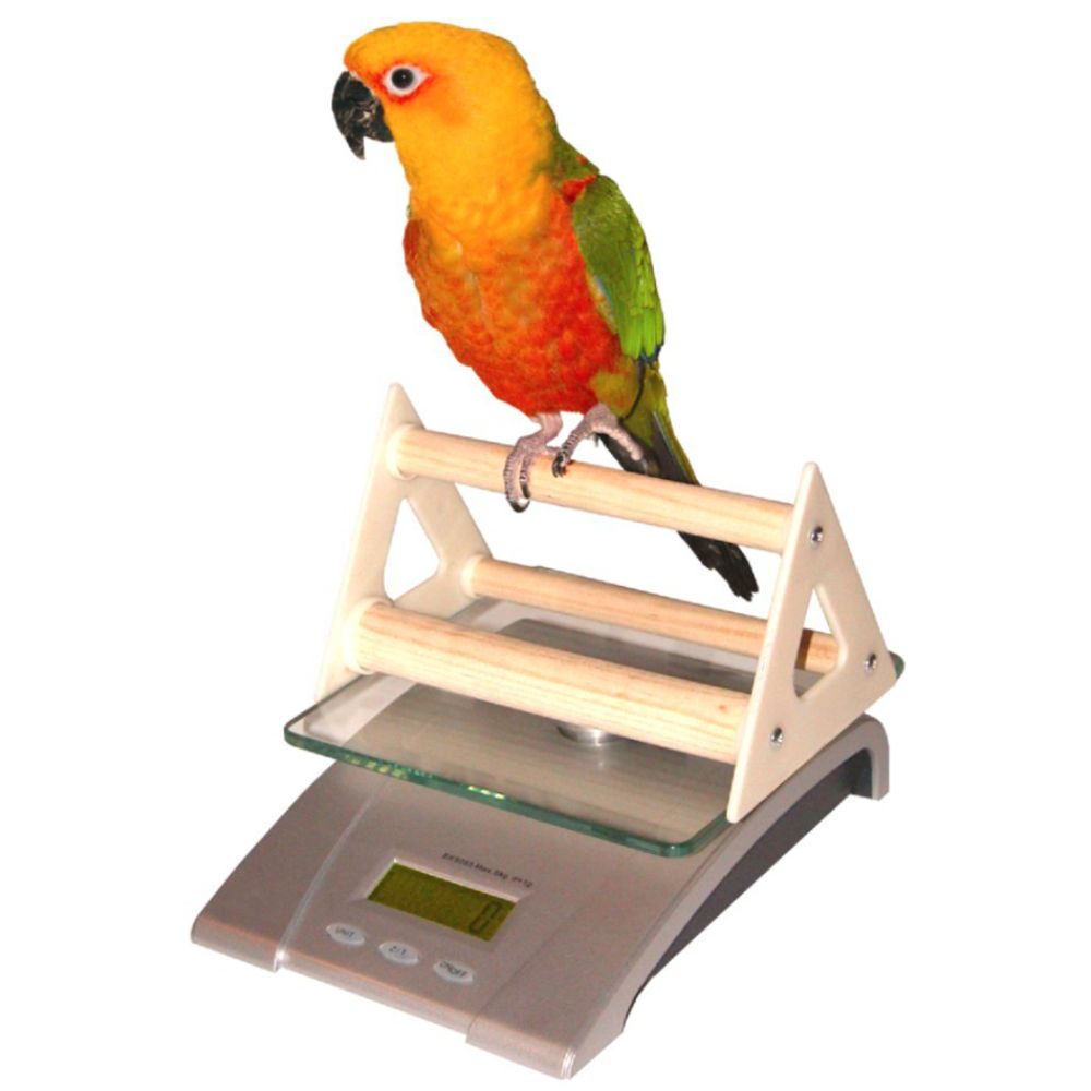 Redmon Digital Bird And Small Animal Scale