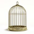 Bird Supplies at mygofer.com