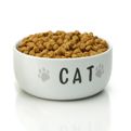 Cat Food at mygofer.com