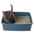Cat Supplies at mygofer.com