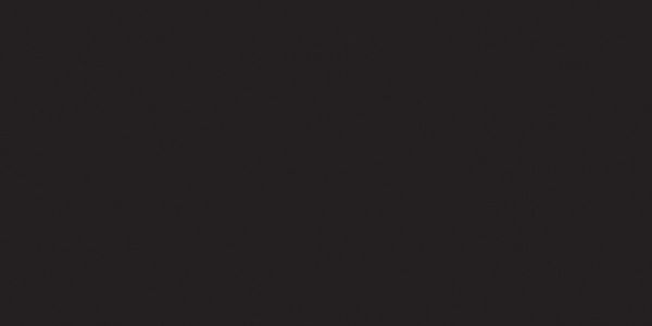 Tsukineko Onyx Black Versa Fine Stamp Pad