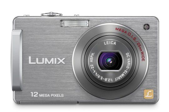 Panasonic Lumix DMC-FX580 Digital Camera (Silver)