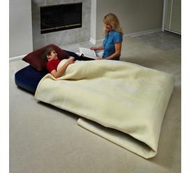 Northwest Territory Twin Size Flocked Airbed
