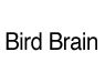 Bird Brain