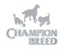 Champion Breed