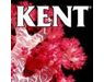 Kent