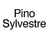Pino Silvestre