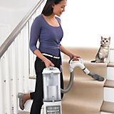 Designed&#x20;for&#x20;Pets&#x20;