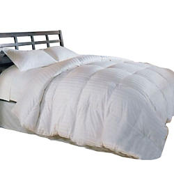 Down&#x20;Comforters&#x20;and&#x20;Featherbeds