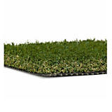 Artificial&#x20;Turf