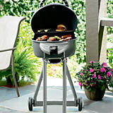 Electric&#x20;Grills