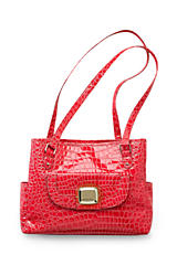 Women&#x27;s&#x20;&amp;&#x20;Juniors&#x20;Handbags&#x20;and&#x20;Accessories