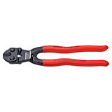 Bolt&#x20;Cutters
