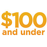 Under&#x20;&#x24;100