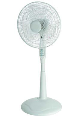 SPT 14" Standing Fan at Kmart.com